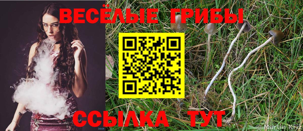 Кемерово  Галлюциногенные грибы мицелий  закладки  Вход с VPN  Псилоцибиновые грибы ЛСД 